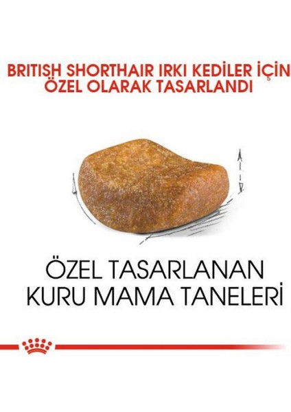 British Shorthair Yetişkin Kedi Maması - 4 kg