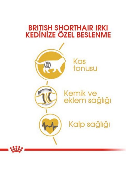 British Shorthair Yetişkin Kedi Maması - 4 kg