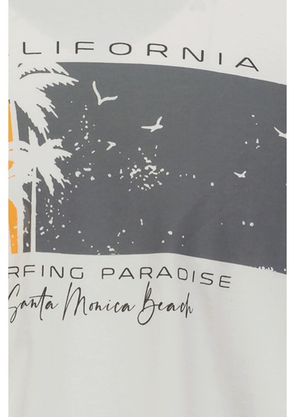 Erkek Tişört 1312052 modelleri