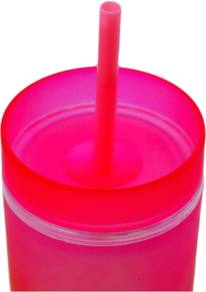 Bottleboss Çift Katmanlı Pipetli Çift Renkli Sızdırmaz Bardak Matara 480 ml