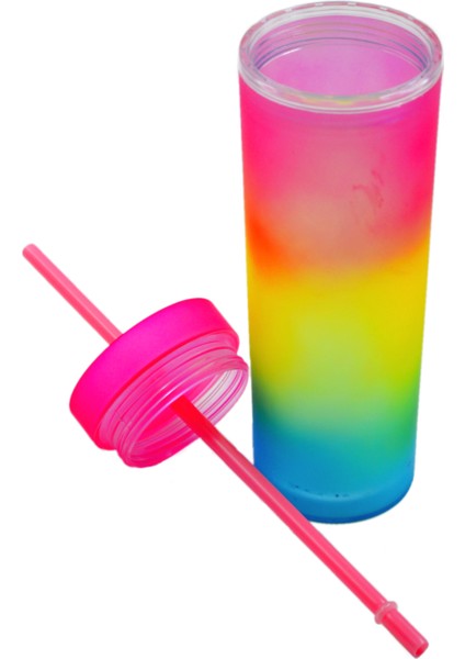 Bottleboss Çift Katmanlı Pipetli Çift Renkli Sızdırmaz Bardak Matara 480 ml