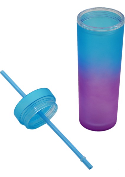 Bottleboss Çift Katmanlı Pipetli Çift Renkli Sızdırmaz Bardak Matara 480 ml