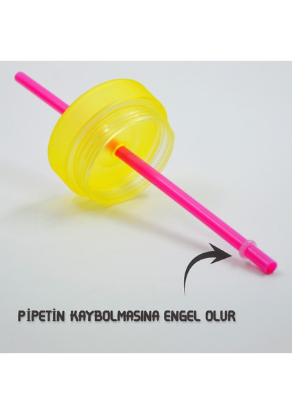 Bottle Boss Bottleboss Çift Katmanlı Pipetli Çift Renkli Sızdırmaz Bardak Matara 480 ml