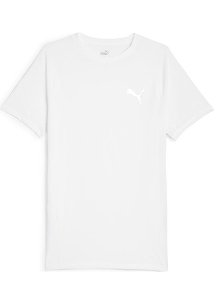 Evostripe Tee Erkek T-Shirt