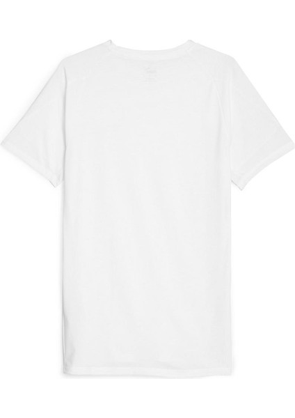 Evostripe Tee Erkek T-Shirt fiyatları
