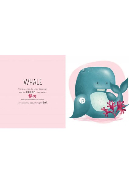 Who Lıves In The Sea fiyatları