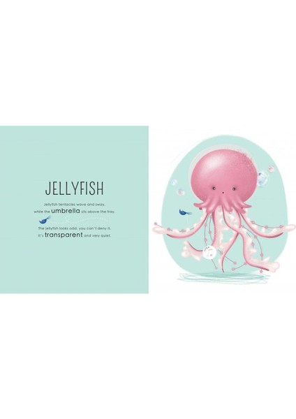 Who Lıves In The Sea modelleri