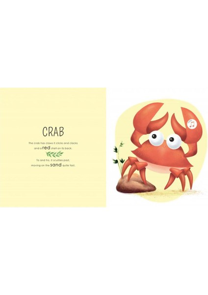 Who Lıves In The Sea fırsatları