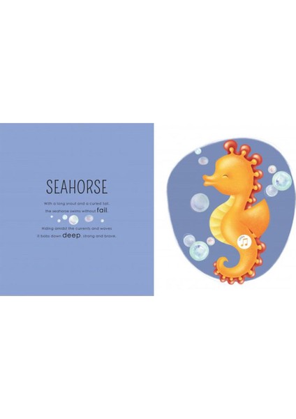 Who Lıves In The Sea indirimleri