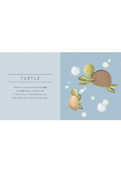 Touch And Feel - Anımals fiyatları