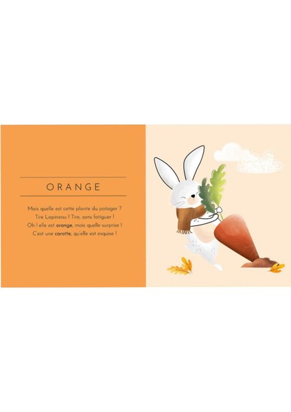 Touch And Feel - Colours fiyatları