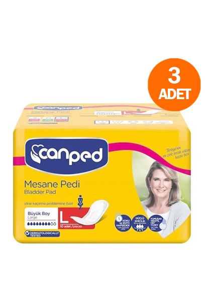 Mesane Pedi Büyük Boy 10'lu (3 Adet)