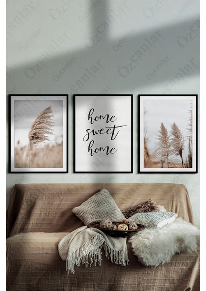 Home Sweet Home Çerçevesiz Çerçeve Görünümlü 3 Parça Mdf Duvar Pampas Tablo Seti Lazer Kesim