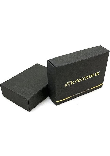 Gümüş Renk Defne Motif Taşlı Kravat Iğnesi KIY730 modelleri