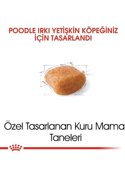 Poodle Adult Yetişkin Köpek Maması 3 kg