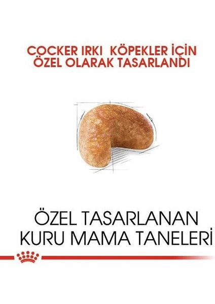 Cocker Adult Özel Irk Yetişkin Köpek Mamasi 3 kg