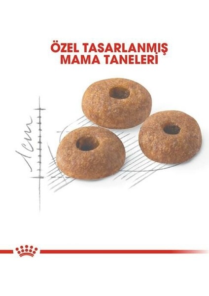 Fit 32 Yetişkin Kedi Maması 10 kg