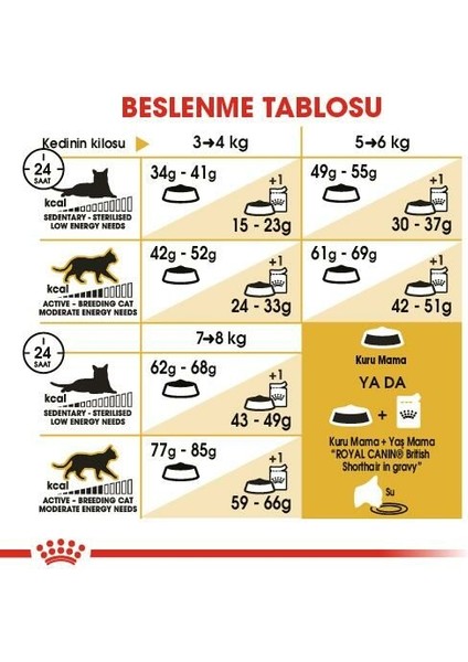 British Shorthair Için Özel Yetişkin Kedi Maması 10 kg