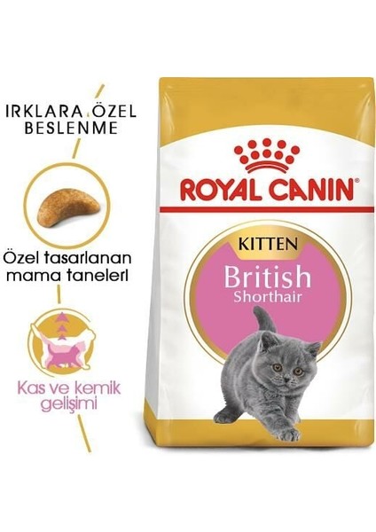 British Shorthair Için Özel Yavru Kedi Mamasi 2 kg