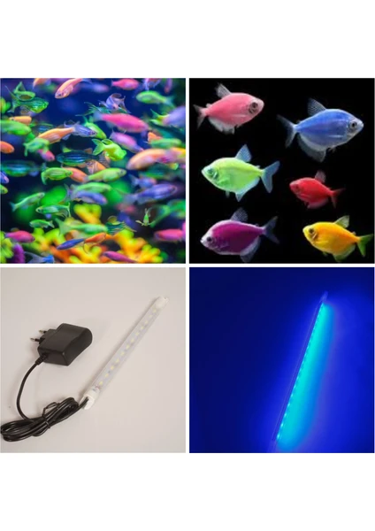 Orion Led Aquaslim Royal Mavi / Transgenetik Tetra Türler Için Akvaryum LED Aydınlatma