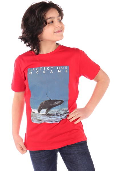 Erkek Çocuk Baskılı Tişört indirimleri