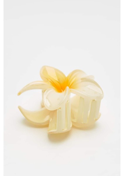 Hibiscus Asetat Mandal Toka