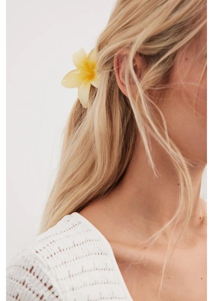 Hibiscus Asetat Mandal Toka