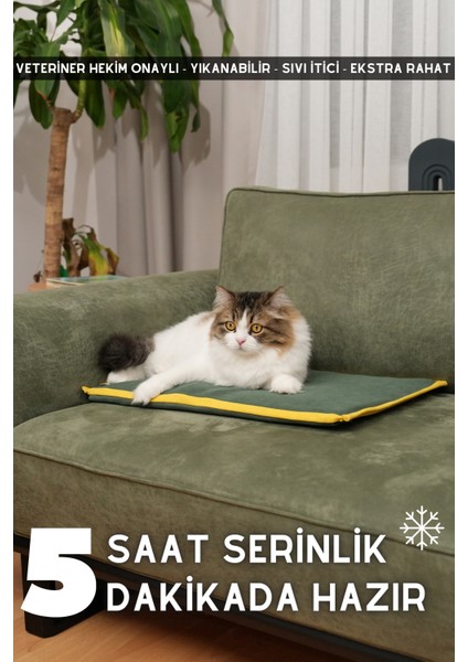 Avantajlı Yeşil Set ( Serin - Dino - Kokusuz )