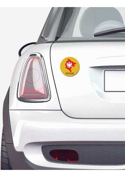 Carmagnet Mıknatıslı Tak Çıkart Araç Aksesuarı