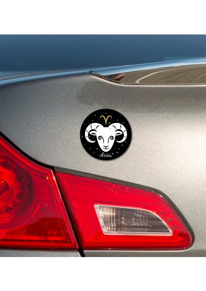 Carmagnet Mıknatıslı Tak Çıkart Araç Aksesuarı