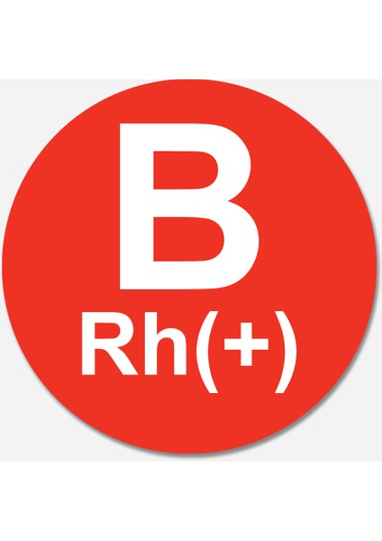 Carmagnet Mıknatıslı Tak Çıkart Araç Aksesuarı