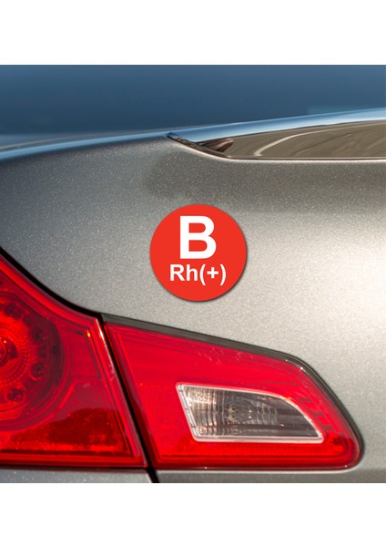 Carmagnet Mıknatıslı Tak Çıkart Araç Aksesuarı