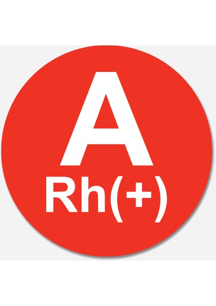 Carmagnet Mıknatıslı Tak Çıkart Araç Aksesuarı
