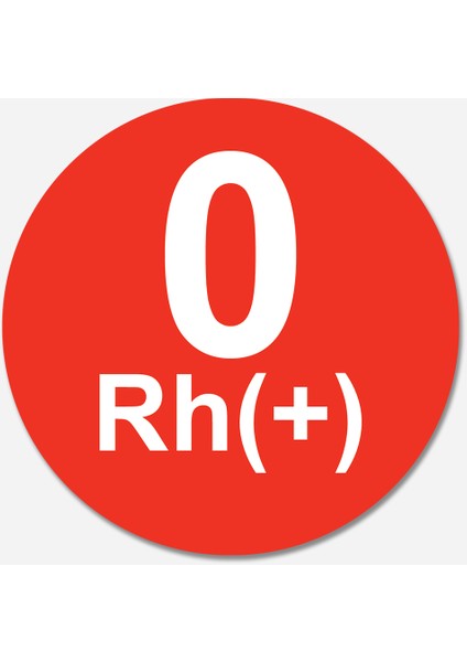 Carmagnet Mıknatıslı Tak Çıkart Araç Aksesuarı
