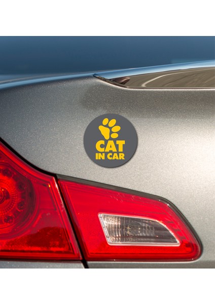 Carmagnet Mıknatıslı Tak Çıkart Araç Aksesuarı