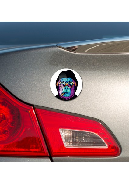 Carmagnet Mıknatıslı Tak Çıkart Araç Aksesuarı