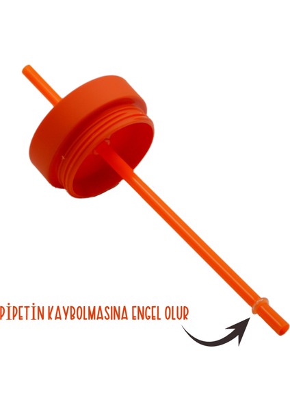 Çift Katmanlı Pipetli Sızdırmaz Kapak Bardak Matara 480 ml