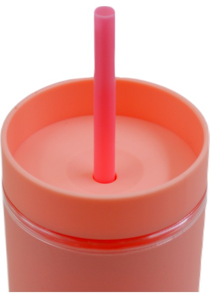 Çift Katmanlı Pipetli Sızdırmaz Kapak Bardak Matara 480 ml