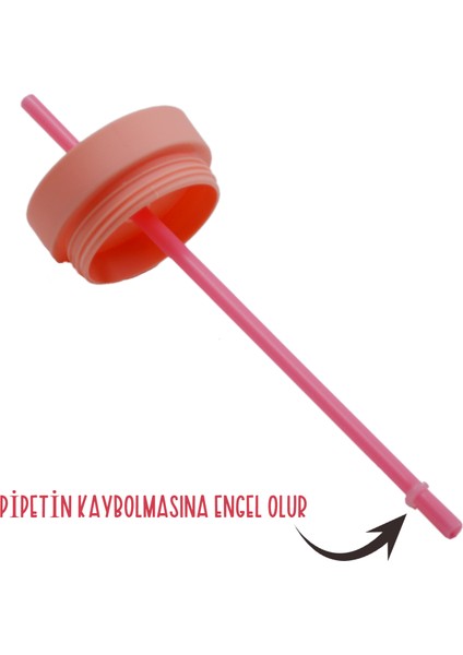 Çift Katmanlı Pipetli Sızdırmaz Kapak Bardak Matara 480 ml