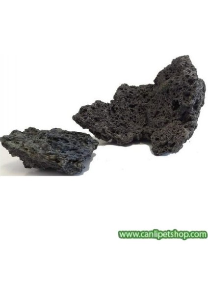 Dekoratif Doğal Lav Kaya Siyah (10X10) 10 Adet fiyatları