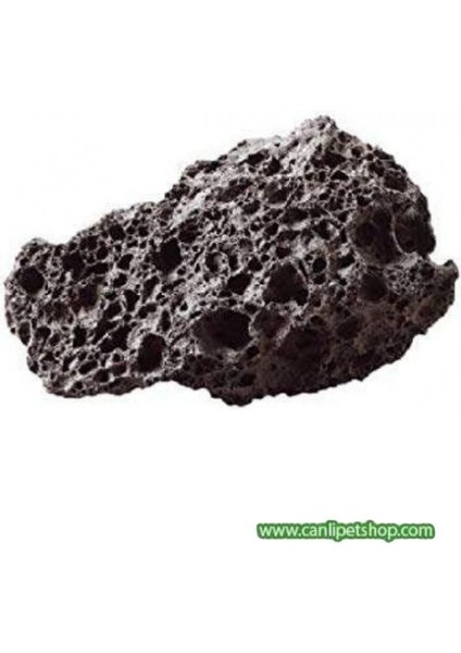 Dekoratif Doğal Lav Kaya Siyah (10X10) 10 Adet