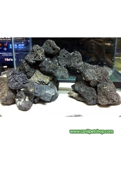 Dekoratif Doğal Lav Kaya Siyah (10X10) 10 Adet fırsatları