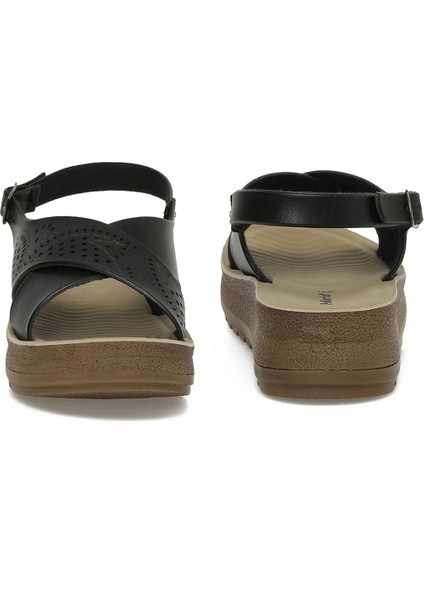 164439.Z3FX Siyah Kadın Comfort Sandalet