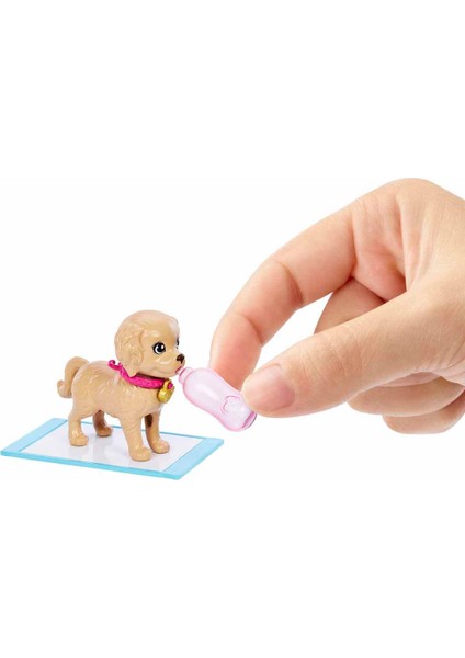 ve Köpekçikleri Oyun Seti HKD86 HKD85
