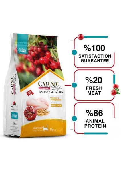 Life Tavuklu ve Narlı Yetişkin Kedi Maması 1.5 kg