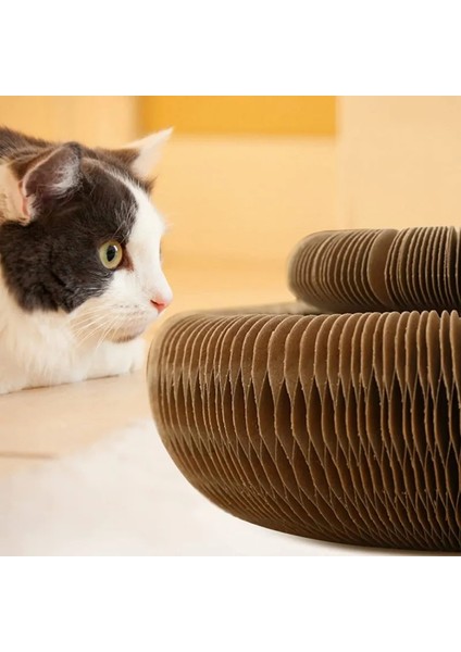 Sihirli Kedi Oyun Kordonu Çıngıraklı Kedi Tırmalama Kartonu İnteraktif Kedi Oyuncağı indirimleri