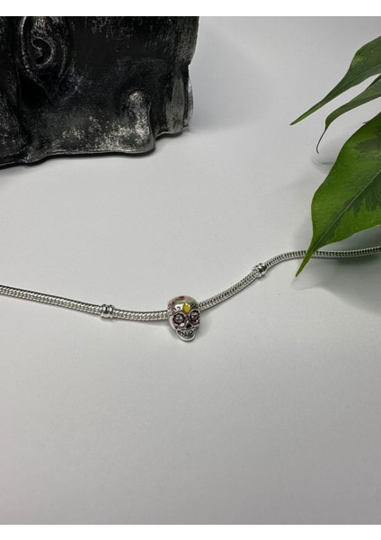 Gümüş S925 Damgalı Renkli Erkek Kuru Kafa Charm fiyatları