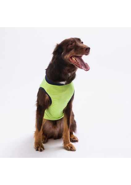 Yeşil Shark Büyük Köpek Tişörtü - Köpek Kıyafeti 15 Kg - 45 Kg 6 Xl