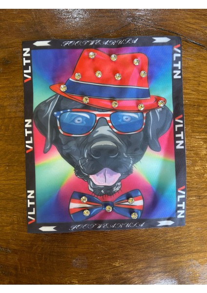 19X16 cm Zirkon Taşlı Şapkalı Köpek Aplike Arma Yama Dikiş Hobi