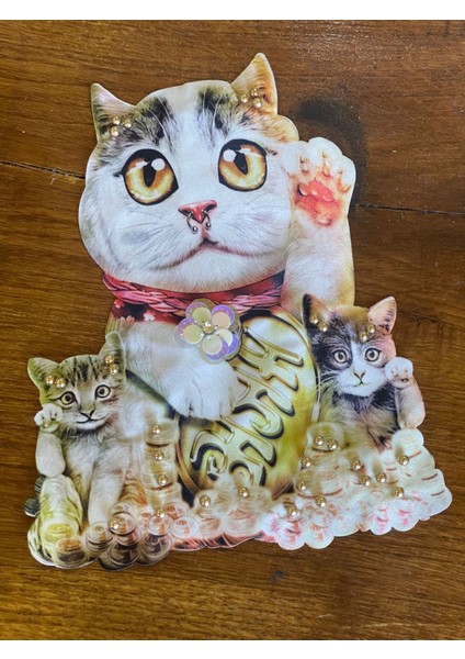 27X20 cm Taşlı 3 Boyutlu Pirsinkli Kediler Aplike Arma Yama Dikiş Hobi